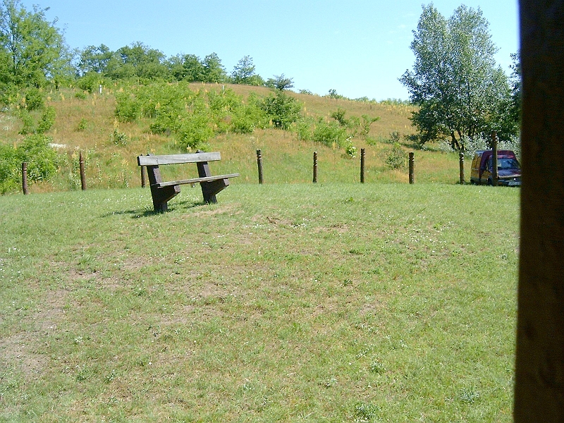 20100606 004.jpg